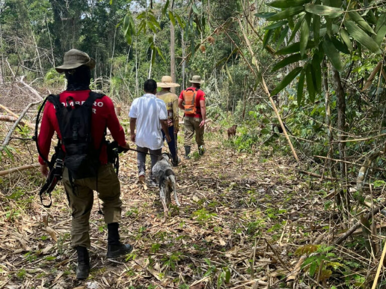Buscas por bebê de 9 meses sequestrada no Acre mobilizam força-tarefa com cães farejadores