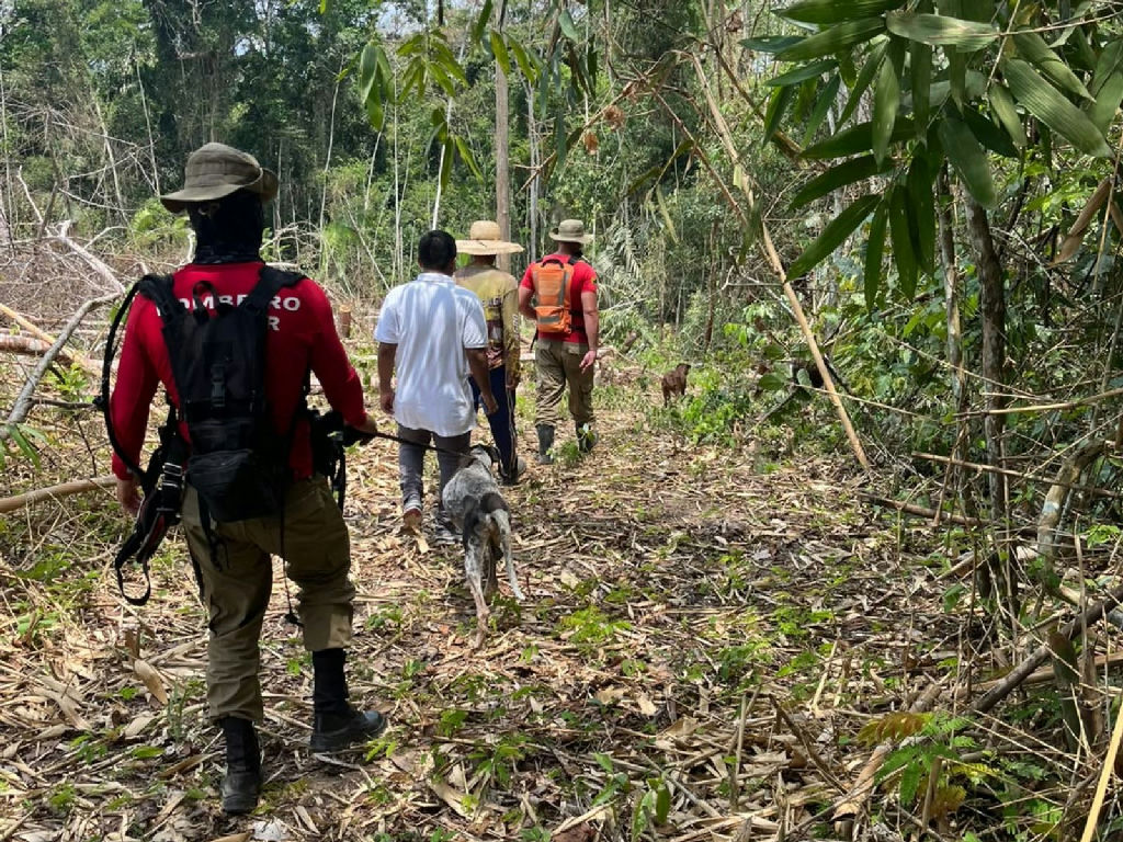 Buscas por bebê de 9 meses sequestrada no Acre mobilizam força-tarefa com cães farejadores