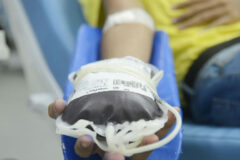 Doação de sangue é liberada para pessoas com mais de 70 anos no Brasil