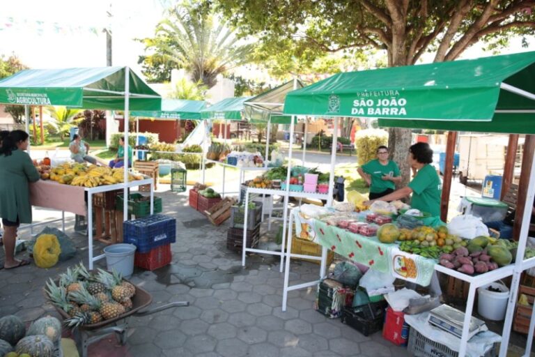 Feira da Roça em São João da Barra abre novas vagas para produtores rurais