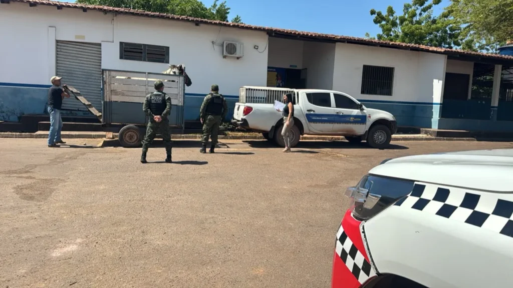 Operação resgata cavalos vítimas de maus-tratos em via pública de Santarém