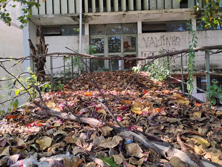 Prédio do Adolfo Lutz em Sorocaba enfrenta deterioração e gera queixas de abandono