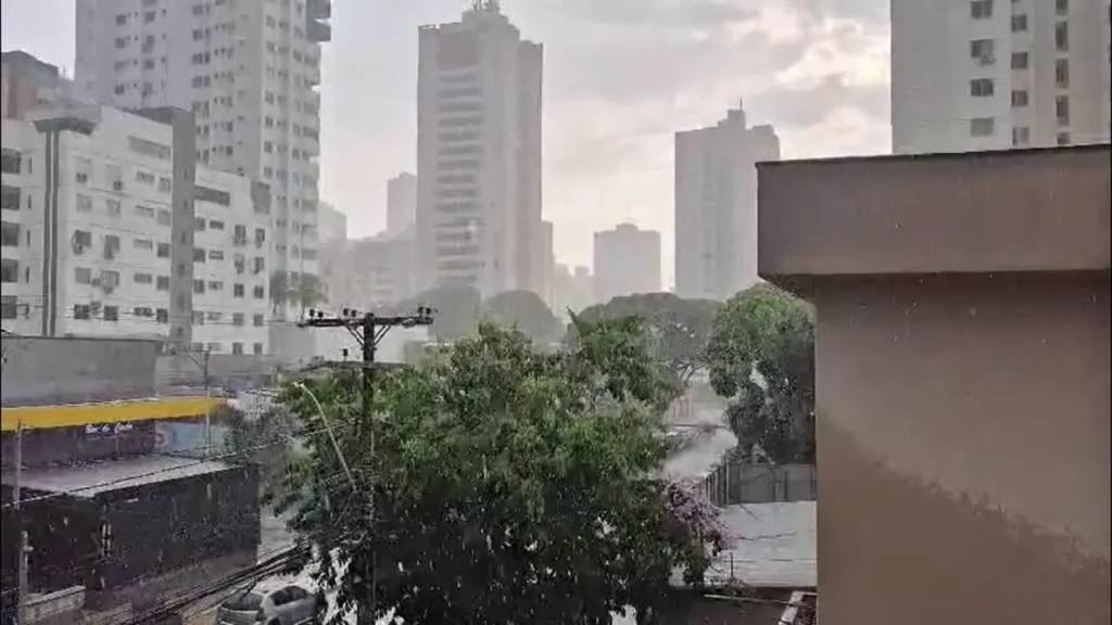 Temporal com ventos fortes causa estragos e derruba árvores em Goiás