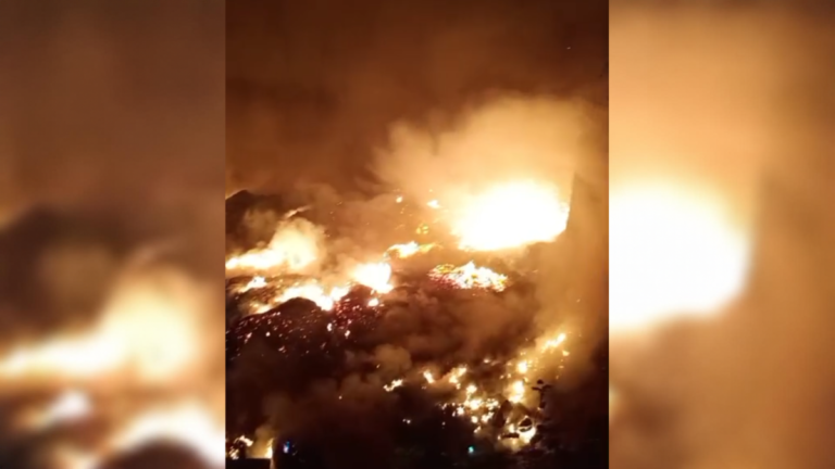 Amazonas decreta emergência em 36 municípios devido à escalada de incêndios florestais