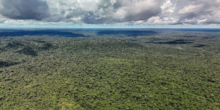 Amazônia atinge menor índice de desmatamento das últimas quatro décadas