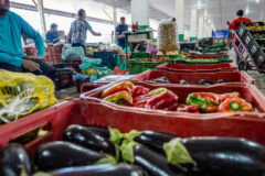 Campanha #Fazaxepa mobiliza sociedade contra o desperdício de alimentos no Brasil
