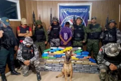 Cão farejador localiza mais de cem quilos de entorpecentes em navio no Pará