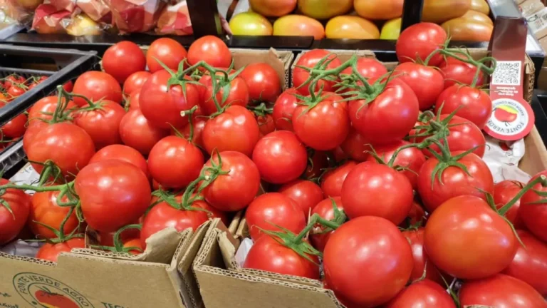 Cesta básica em Campinas salta para R$ 882,86 com disparada de itens essenciais em setembro