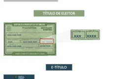 Como consultar zona e seção eleitoral para conferir resultados das eleições 2026
