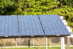 Eco Invest Brasil atrai quase R$ 50 bilhões em investimentos para a economia verde