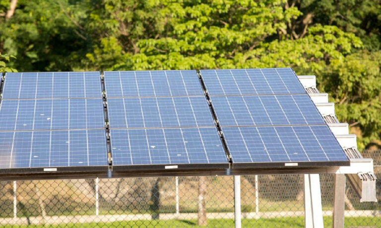 Eco Invest Brasil atrai quase R$ 50 bilhões em investimentos para a economia verde