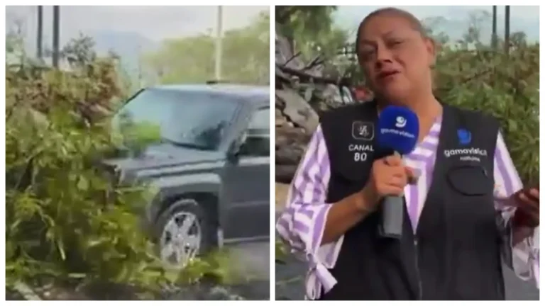 Equipe de reportagem é atingida por veículo durante transmissão ao vivo no México