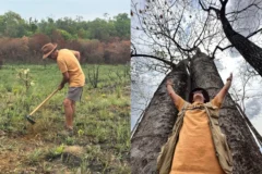 Estudo no Cerrado comprova alta de 79% na retenção do solo e reforça recursos hídricos do Pantanal