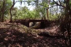 Governo de minas decreta emergência em cidades afetadas pela seca