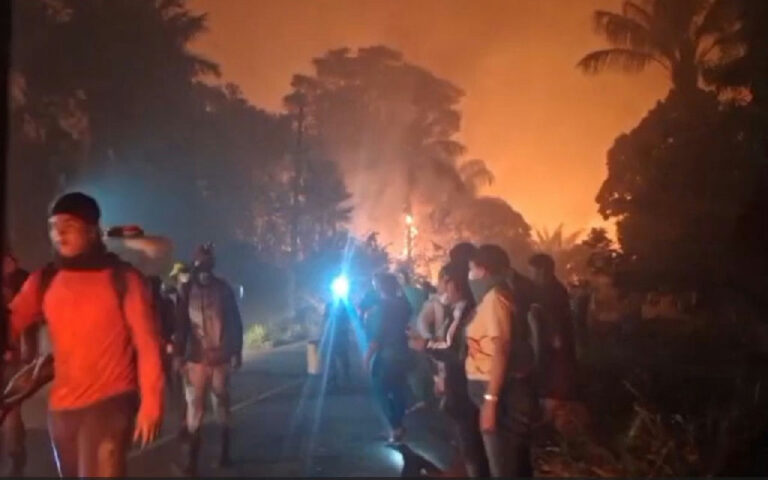 Incêndios florestais no Careiro da Várzea deixam famílias desalojadas no Amazonas