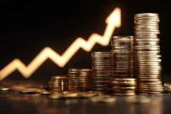 Investir no Tesouro Direto: como começar com pouco dinheiro e planejar o futuro