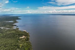 Meio ambiente e clima: as propostas de Flávio e Lula para o futuro do Brasil