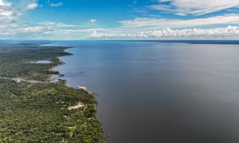 Meio ambiente e clima: as propostas de Flávio e Lula para o futuro do Brasil