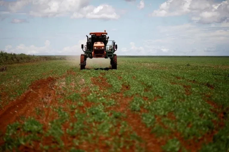 Mercado de fertilizantes no Brasil registra queda de 22,3% nas entregas em julho