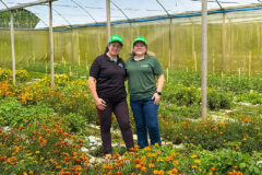 Produtora rural de Teresópolis amplia produção de flores e microgreens com crédito