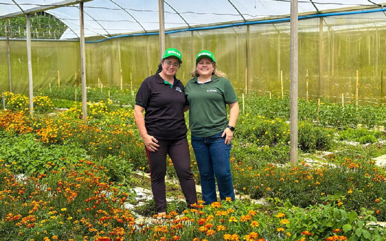 Produtora rural de Teresópolis amplia produção de flores e microgreens com crédito