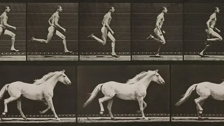 Quais animais o ser humano consegue vencer em uma corrida