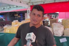 Queimadas em Parintins destroem lavouras e provocam alta de 100% no preço da farinha
