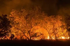 Queimadas no Amazonas colocam quatro cidades entre as mais afetadas do Brasil