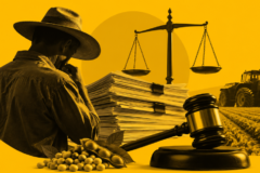 Recuperação judicial no agro tem queda no segundo trimestre