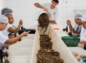 © Marcelo Camargo/Agência Brasil