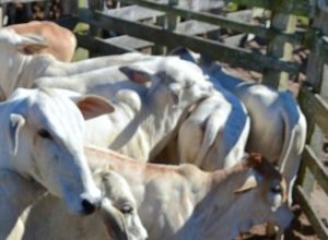 15365_24ab0b2189adb8219787bc48239be436