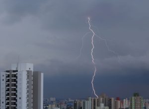 © REUTERS/Amanda Perobelli/Proibida reprodução
