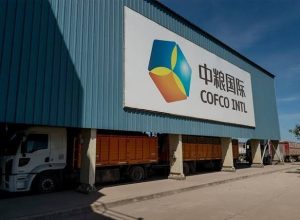   • Cofco International
