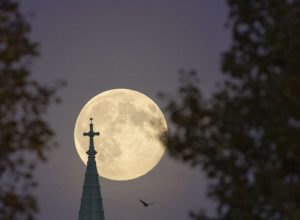 A superlua ilumina o céu noturno em 5 de novembro de 2025 em Berlim, Alemanha  • Maja Hitij/G...