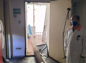   • Reprodução ANSN