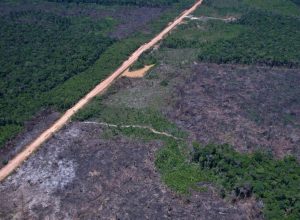 © Orlando K Junior/Divulgação