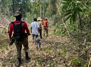 Buscas por bebê de 9 meses sequestrada no Acre mobilizam força-tarefa com cães farejadores