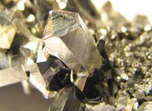 © Portal Gov.br/Reprodução