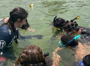 © Projeto Cavalos-Marinhos/Divulgação