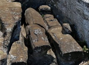 Maior estátua inacabada na Ilha de Páscoa é conhecida como Te Tokanga  • Carl P. Lipo/Bingh...