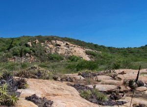 © ICMBIO/divulgação