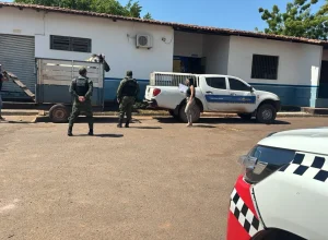 Operação resgata cavalos vítimas de maus-tratos em via pública de Santarém