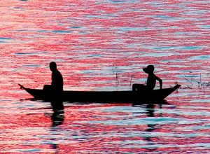 © Divulgação TV Brasil