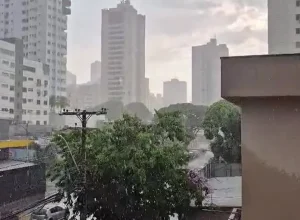 Temporal com ventos fortes causa estragos e derruba árvores em Goiás